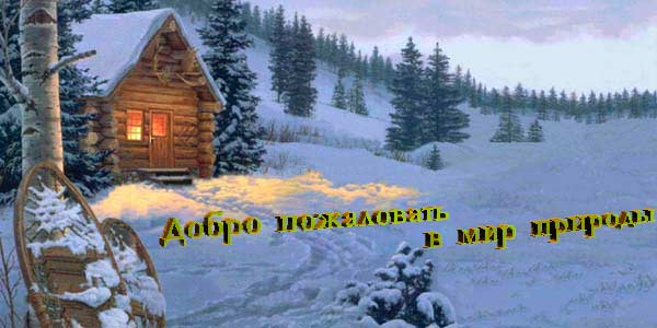 открыть  для Windows-95