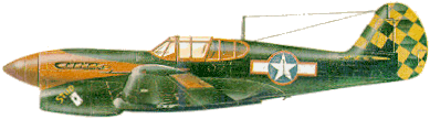 Curtiss P-40L «Warhawk» из 325 истребительной авиагруппы, Тунис (1943)