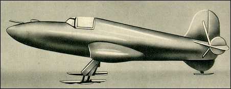 Модель Би-1